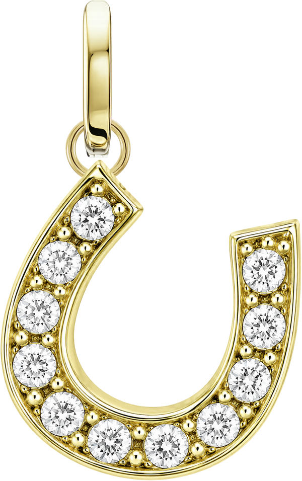 Fortune Horseshoe Charm