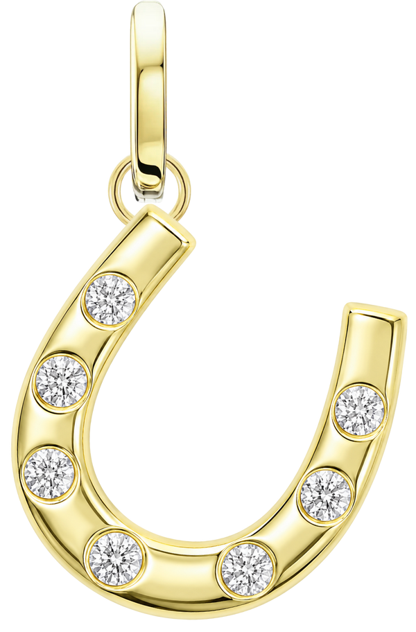 Lucky Path Horseshoe Charm